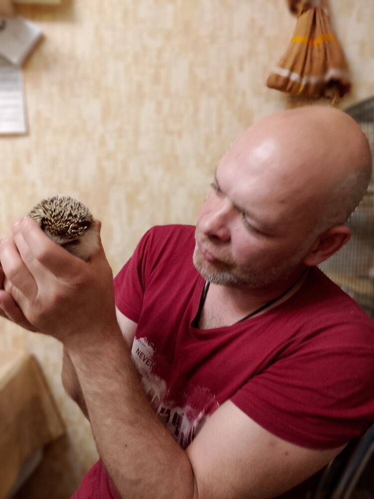  ,   , 42 ,   c 