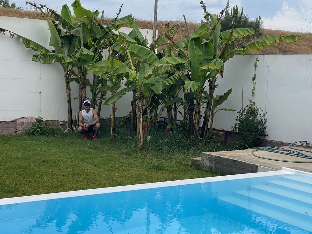 ���������� �����������, ���� ������� ������, 36 ���, ������������ ��� ������, ����� � ���������