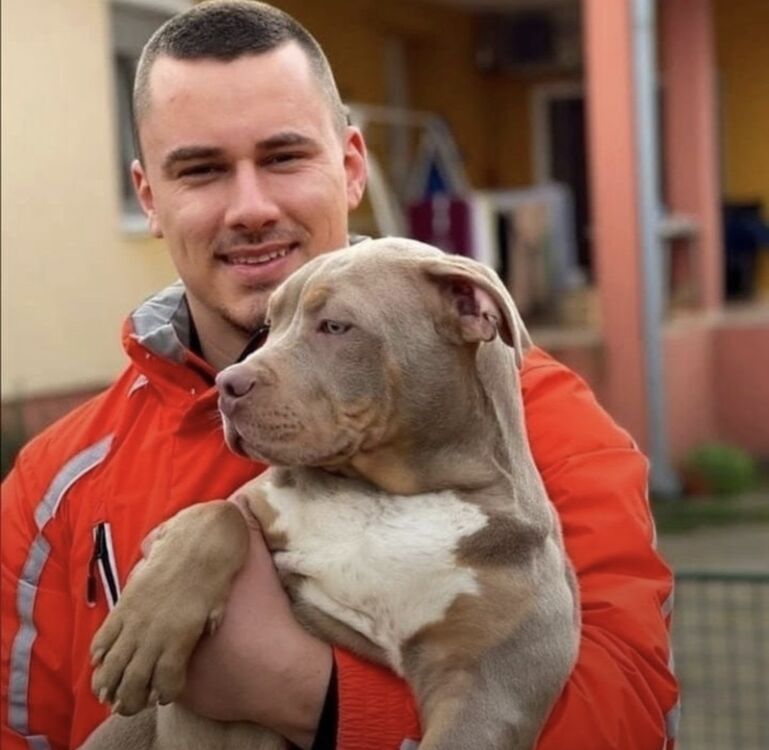 ���� 39587239 ����� ������, 25 ���, ���� ���������� � ������