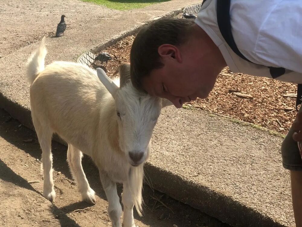 ���������� ������, ���� ������� �����, 42 ����, ������������ ��� ������, ����� � ���������, c�������� ���������