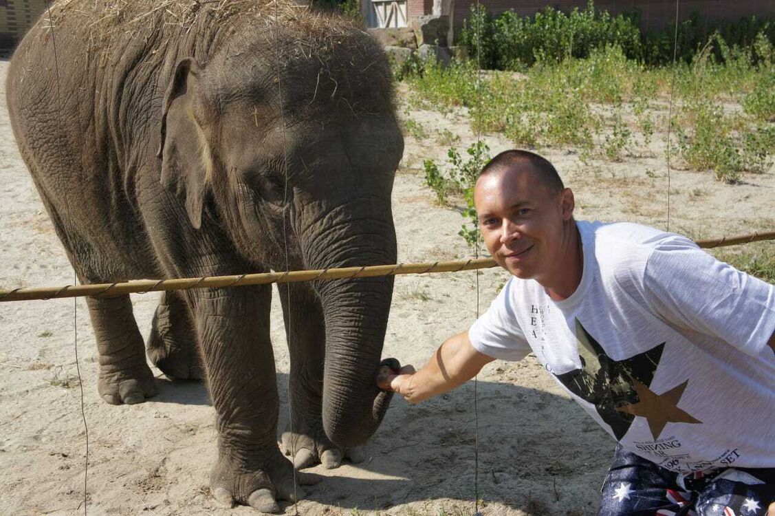 ���������� ����, ���� ������� ������, 37 ���, ������������ ��� ������, ����� � ���������, c�������� ���������