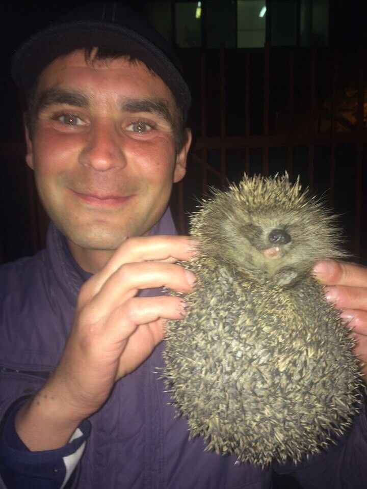 ���������� �����������, ���� ������� �������, 42 ����, ������������ ��� ������, ����� � ���������, c�������� ���������