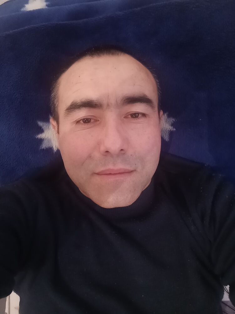  41237749  , 40 ,    