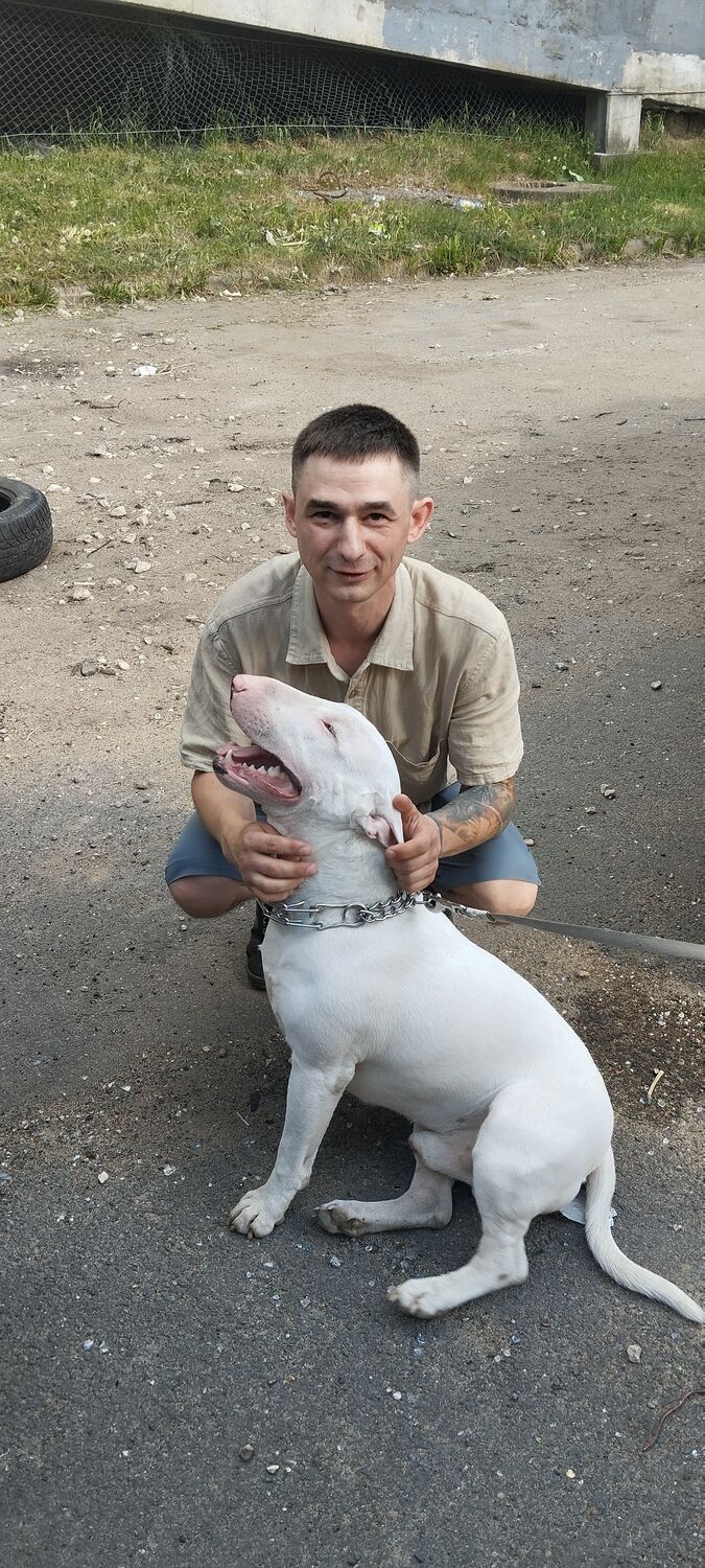 ���������� �����-���������, ���� ������� �������, 39 ���, ������������ ��� c�������� ���������