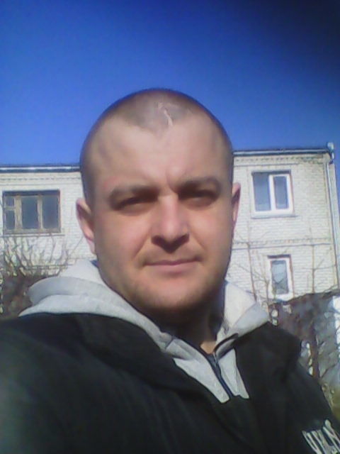  15338239  , 37 ,    