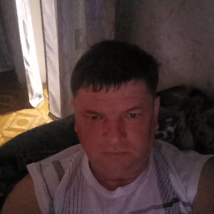  46710599  , 51 ,    