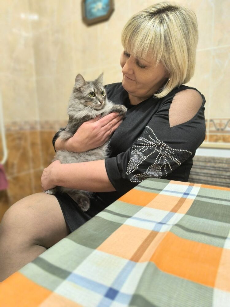 ���� 55731969 ������� ��������, 44 ����, ���� ���������� � ������