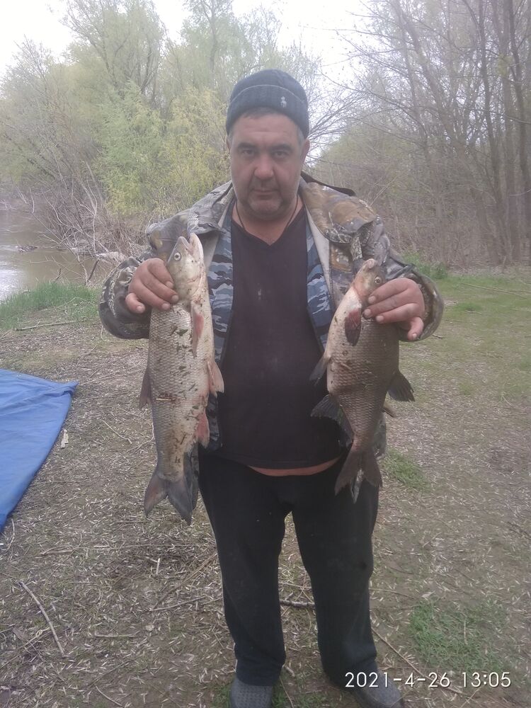 ���������� ���������, ���� ������� ������������, 50 ���, ������������ ��� ����� � ���������, c�������� ���������, ���������