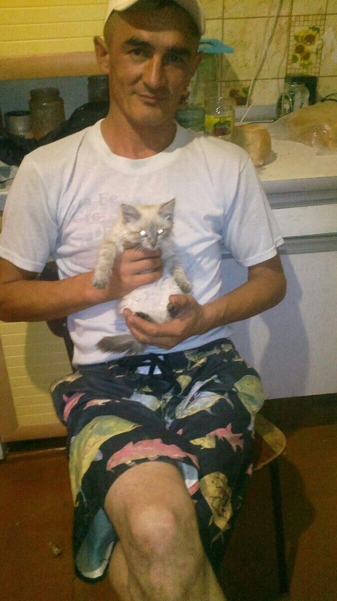 ���������� ������������, ���� ������� �����, 47 ���, ������������ ��� ������, ����� � ���������