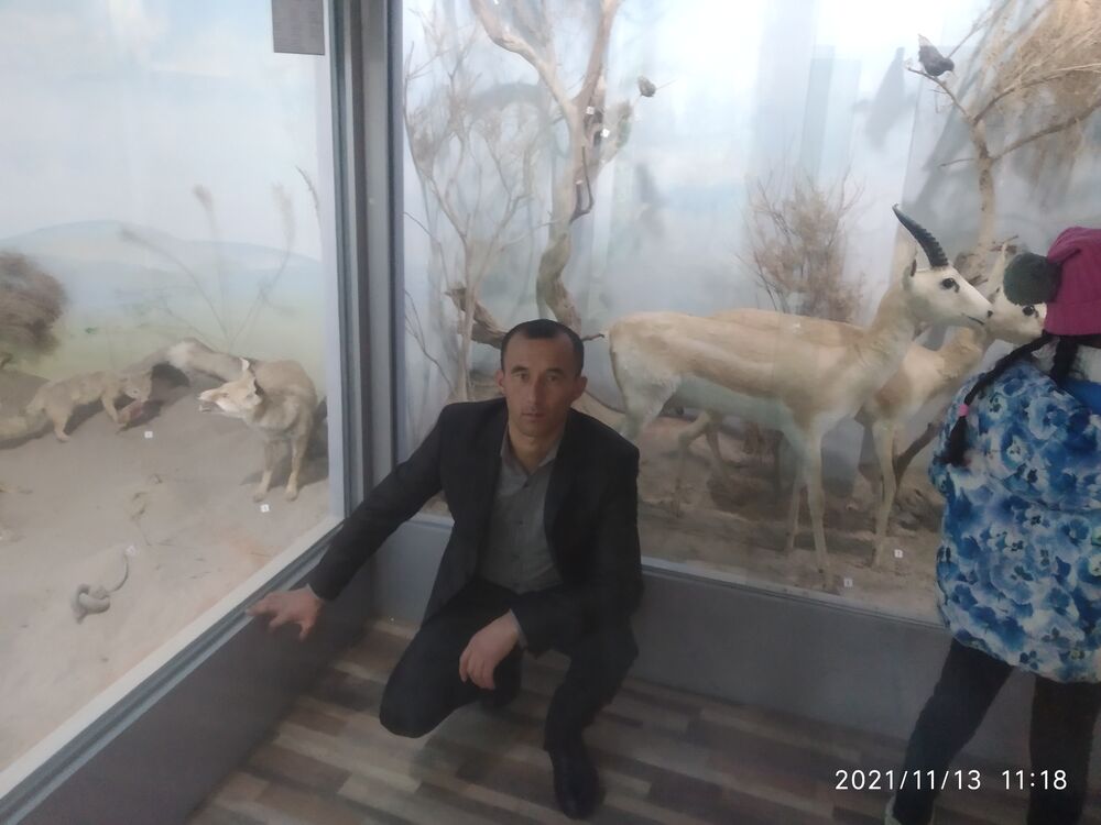 ���������� �������, ���� ������� ������, 40 ���, ������������ ��� ������, ����� � ���������