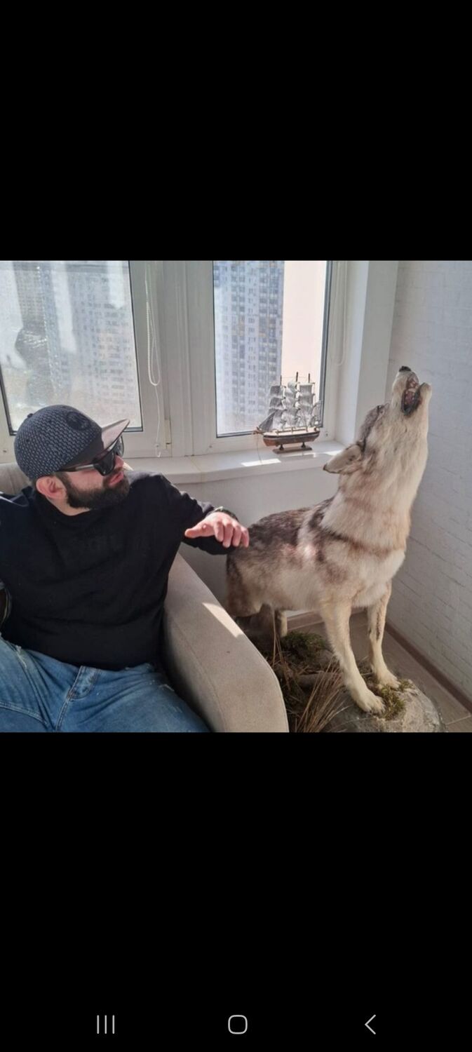 ���������� ������, ���� ������� �����, 38 ���, ������������ ��� ������, ����� � ���������, c�������� ���������