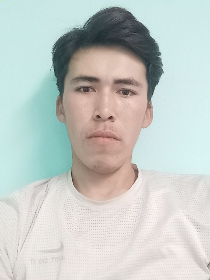  42233249  , 24 ,    