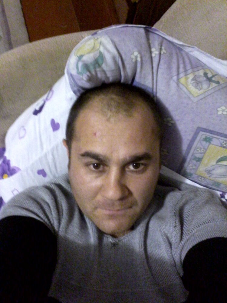 ���� 5287199 ������� Volkodav, 46 ���, ���� ���������� � �������������