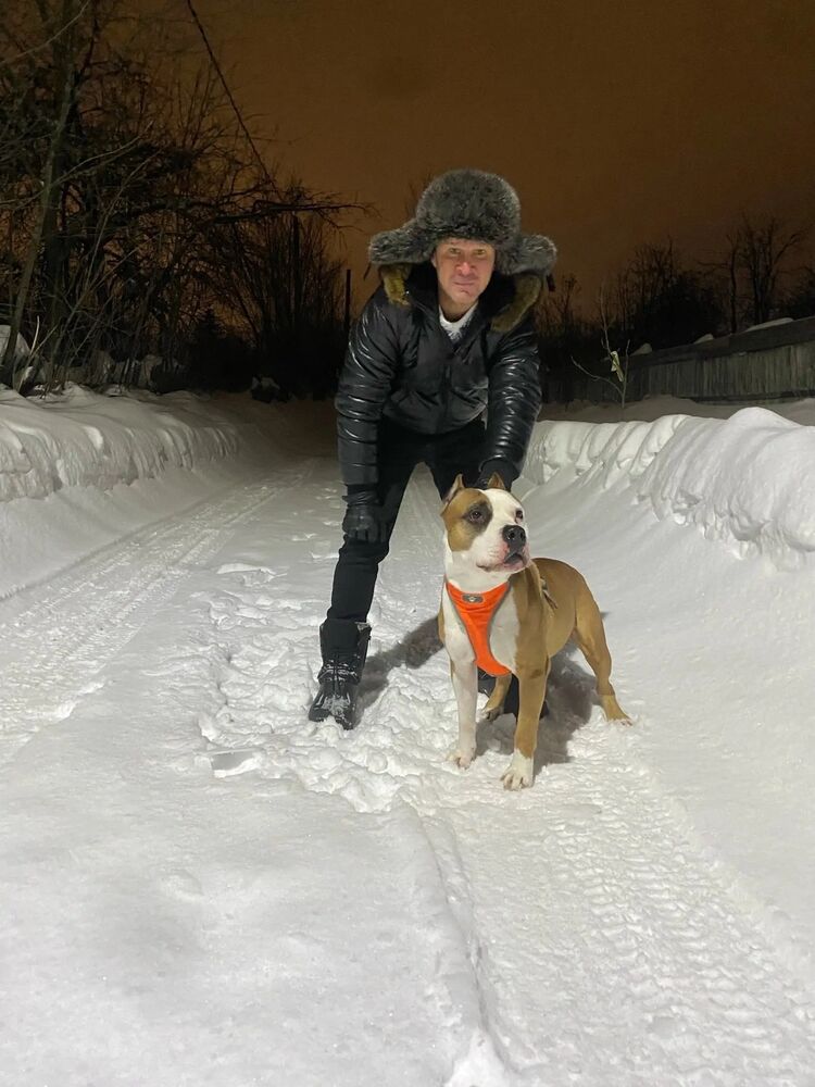 ���������� ������, ���� ������� �������, 42 ����, ������������ ��� ������, ����� � ���������