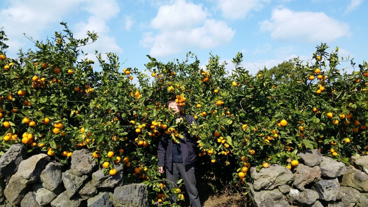 ���������� ������, ���� ������� �����, 51 ���, ������������ ��� ����� � ���������, c�������� ���������