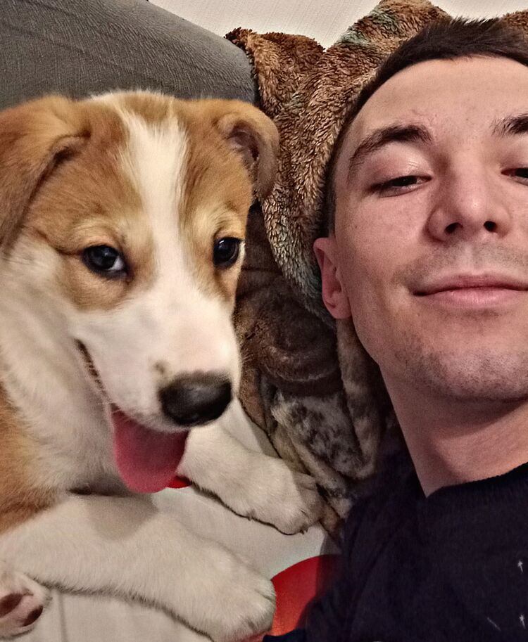 ���� 34132819 ������� �����, 26 ���, ���� ���������� � �����-����������