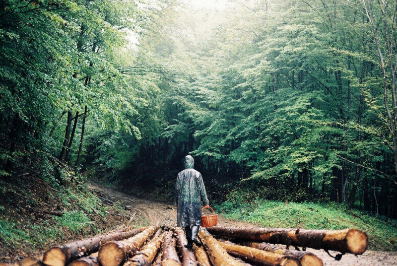  5362469  Angel smerti, 44 ,    