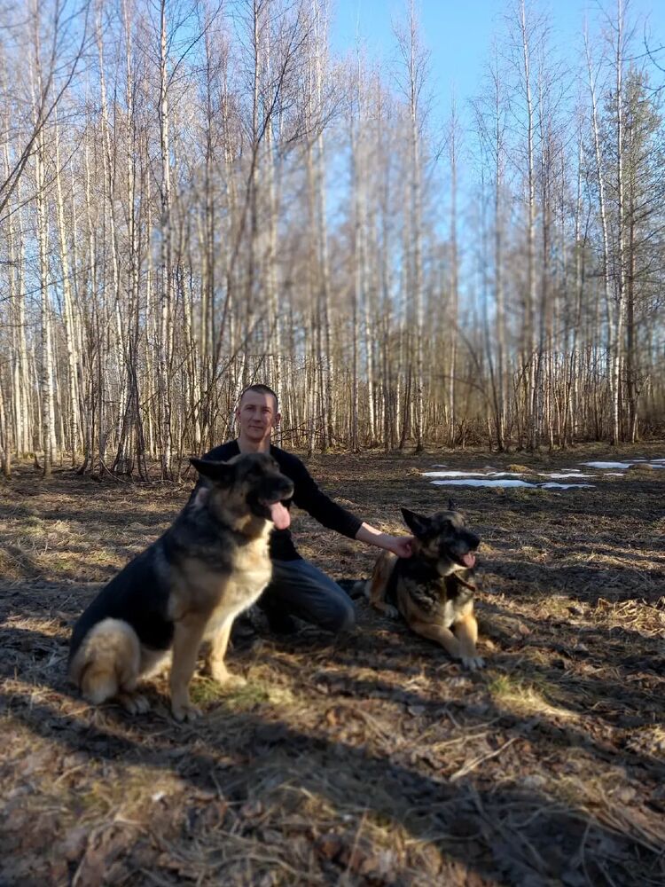  28787389  , 42 ,    -