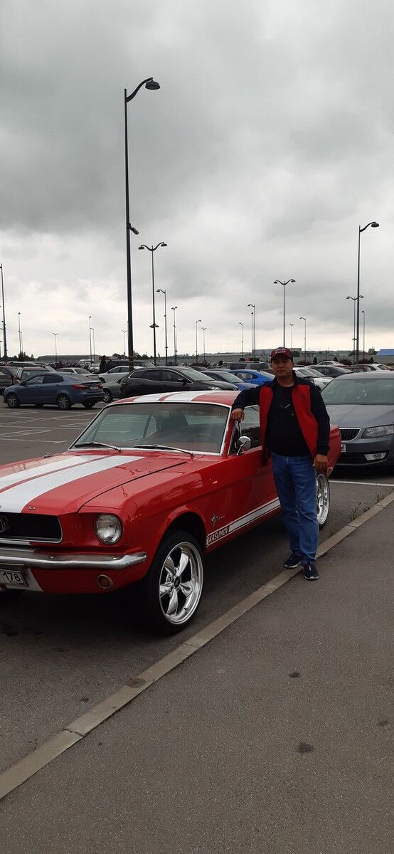 ���������� �����-���������, ���� ������� ������, 40 ���, ������������ ��� ������, ����� � ���������, c�������� ���������