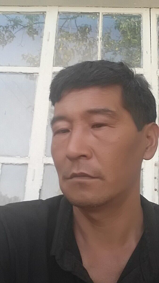  20728379  , 38 ,    