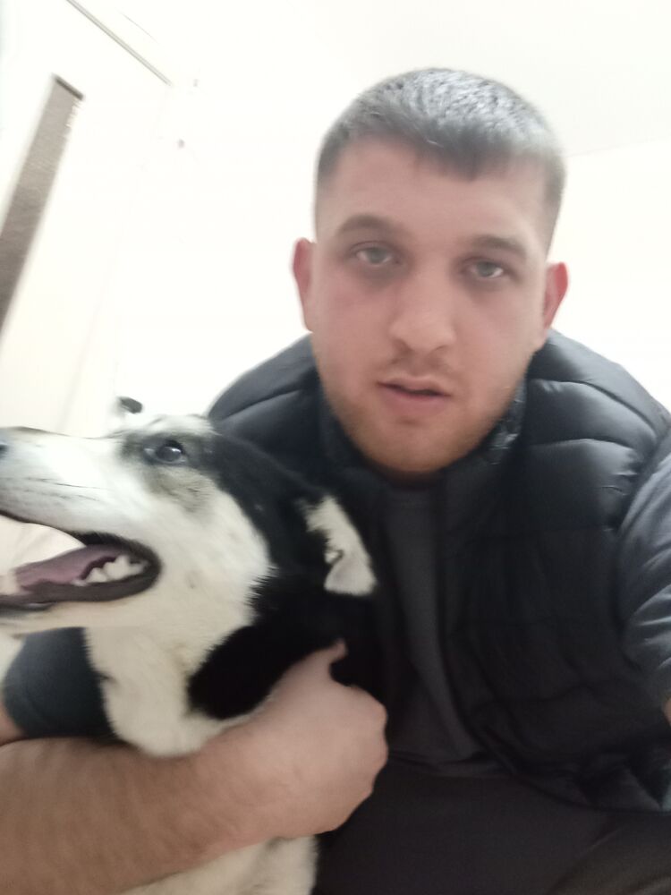 ���� 56180979 ������� Boss, 31 ���, ���� ���������� � ����������