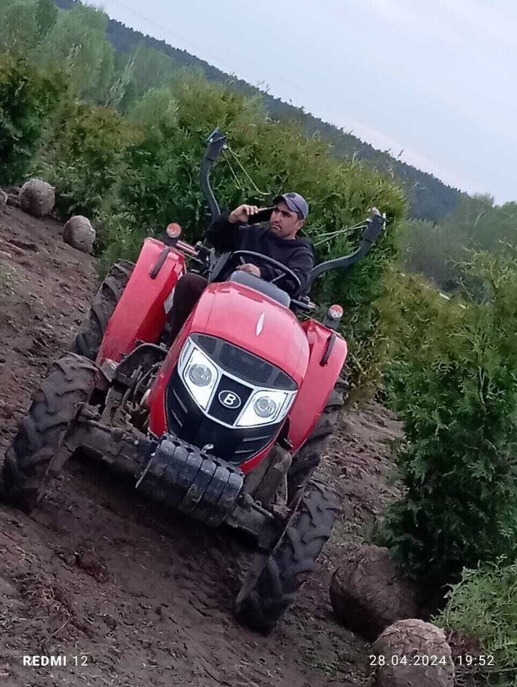  43767819  , 29 ,    