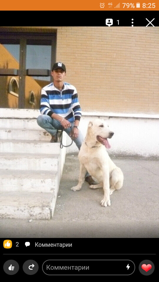 ���������� ���������, ���� ������� �������, 34 ����, ������������ ��� ������, ����� � ���������, c�������� ���������