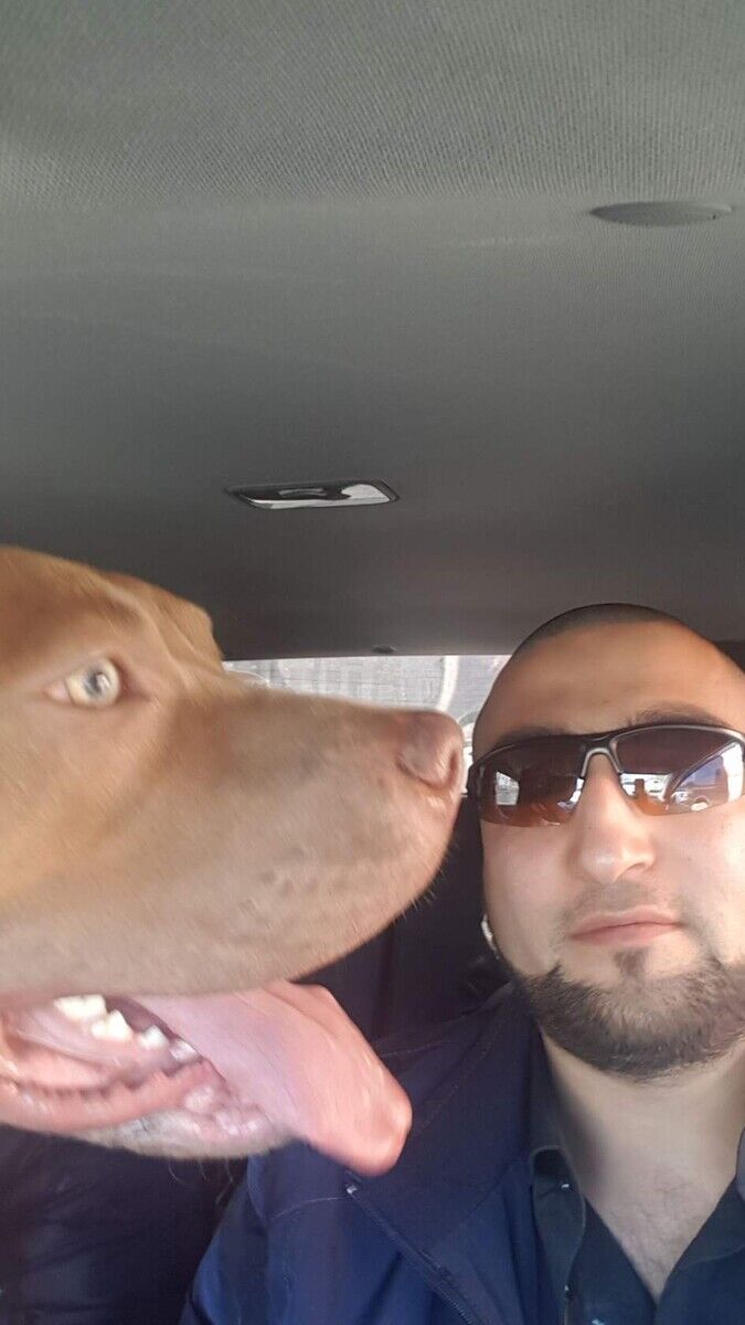 ���������� ������, ���� ������� �������, 38 ���, ������������ ��� ����� � ���������, c�������� ���������