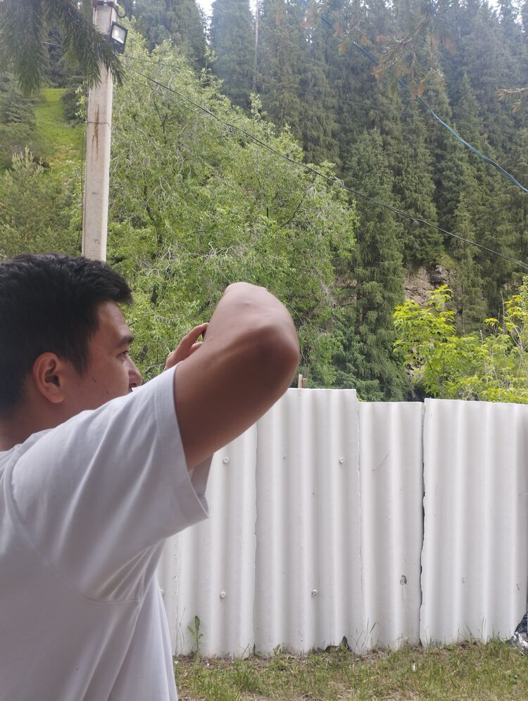  ,   , 31 ,   ,   
