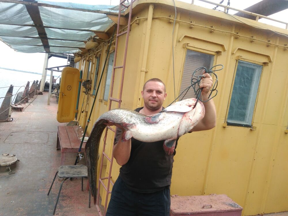 ���� 11528179 ������� �����, 40 ���, ���� ���������� � ���������