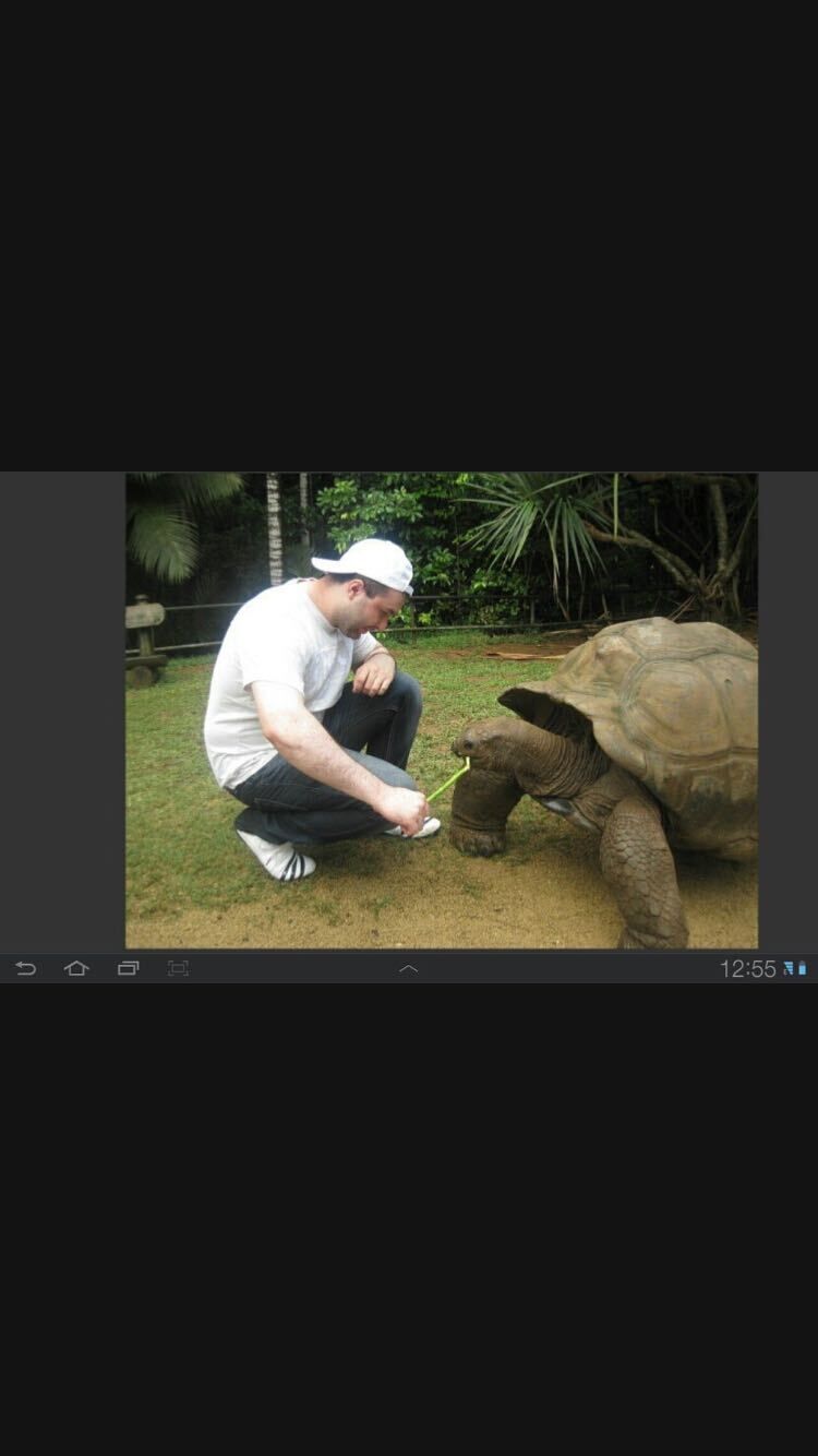 ���� 23097039 ������� �����, 48 ���, ���� ���������� � ������������