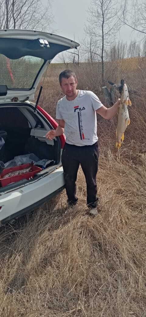 ���� 25545679 ������� ����, 38 ���, ���� ���������� � ��������