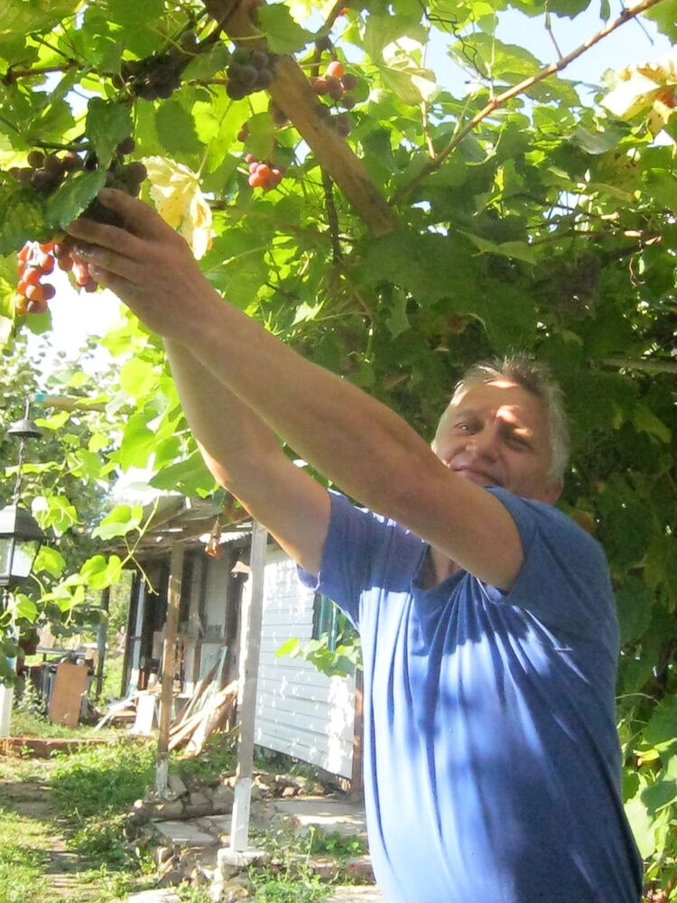  ,   , 58 ,   ,   