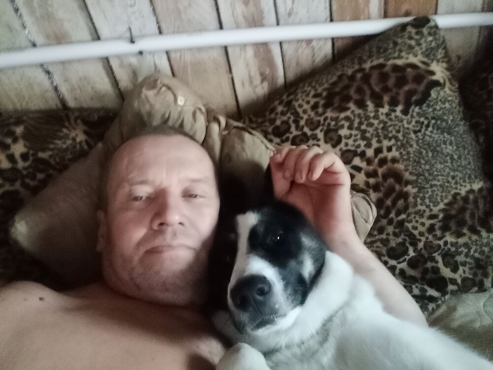 ���� 54243799 ������� �������, 53 ����, ���� ���������� � ����������