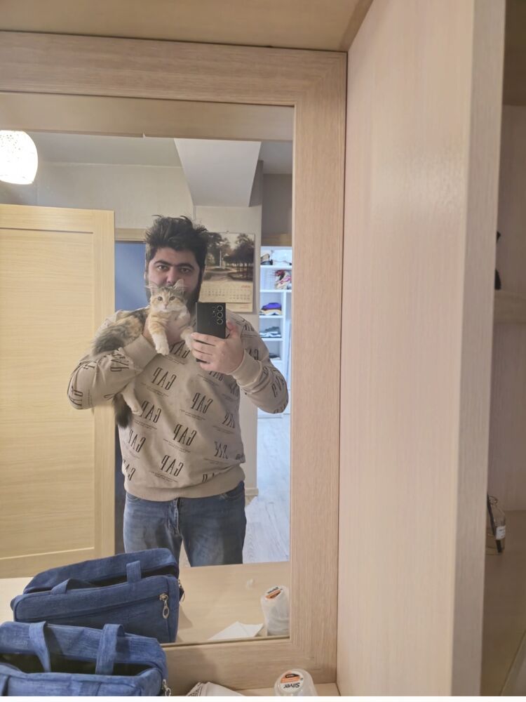 ���������� �����, ���� ������� ���������, 29 ���, ������������ ��� ������, ����� � ���������, c�������� ���������