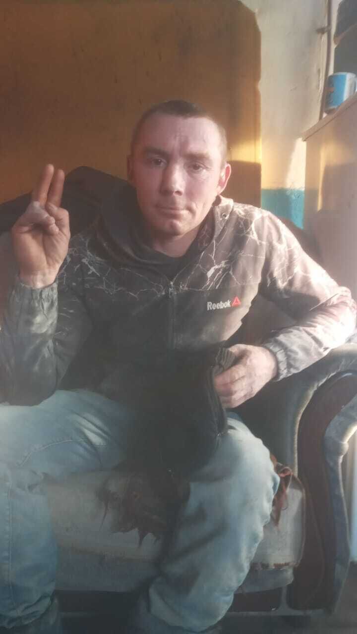 ���� 55509229 ������� ������, 38 ���, ���� ���������� � ��������