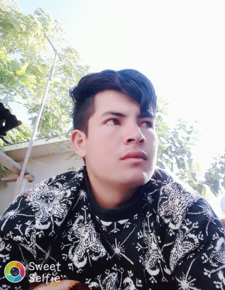 ���� 55630609 ������� �������, 29 ���, ���� ���������� � ������