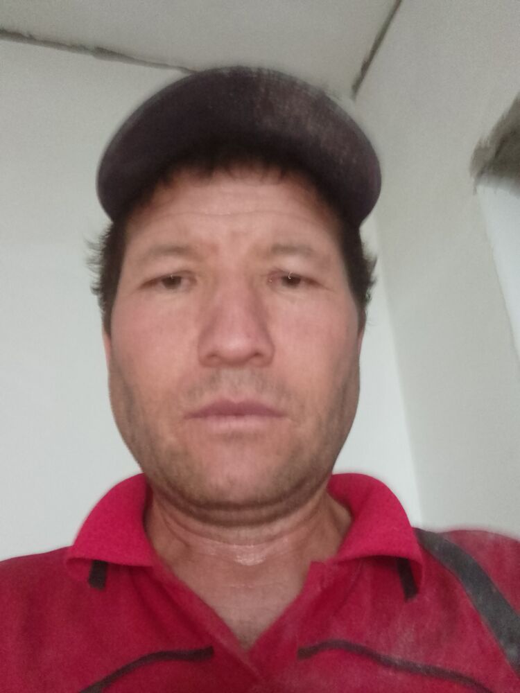  44067759  , 44 ,    