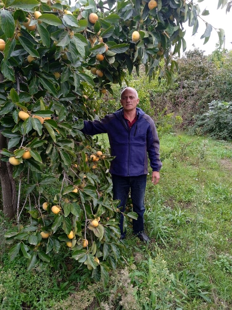  ,   , 58 ,   ,   