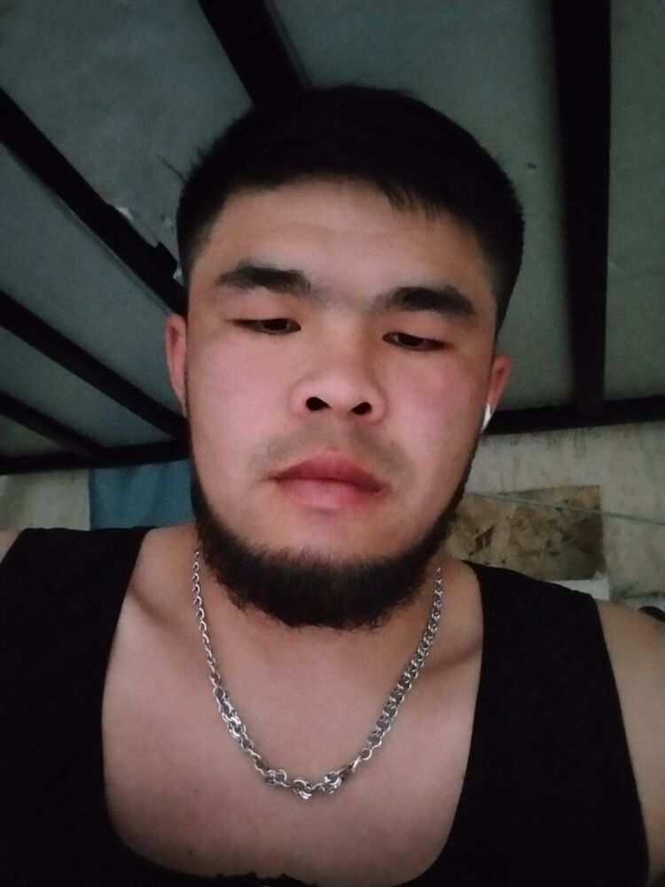  44186389  , 27 ,    -
