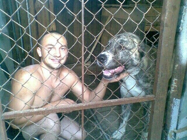 ���� 8719389 ������� �����������, 38 ���, ���� ���������� � ����������