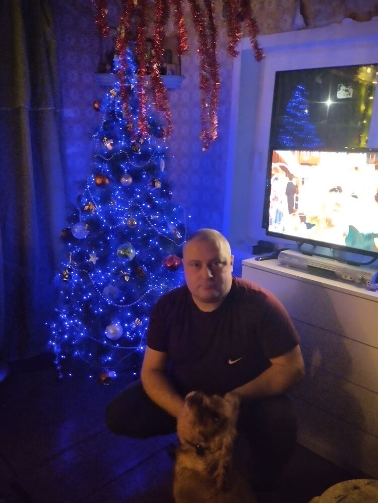 ���� 55264149 ������� ���������, 38 ���, ���� ���������� � ����������