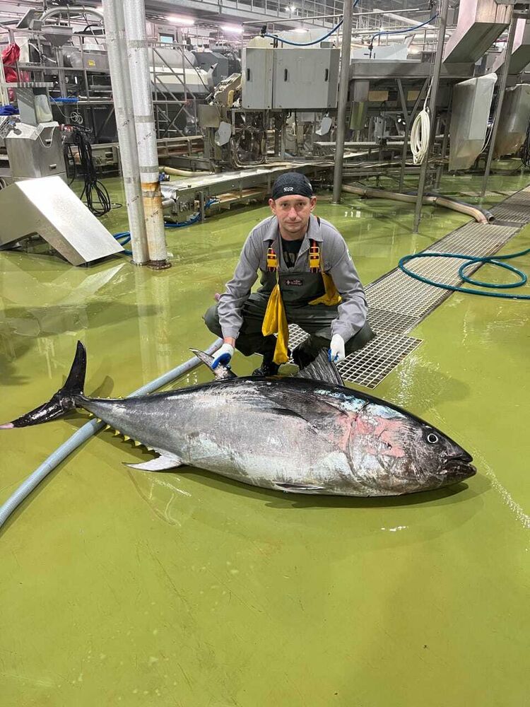  53723199  Yury, 39 ,    