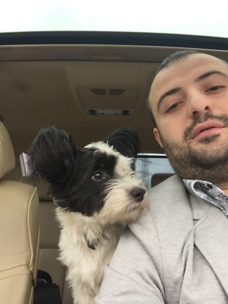 ���� 25074459 ������� �����, 41 ���, ���� ���������� � �����-����������