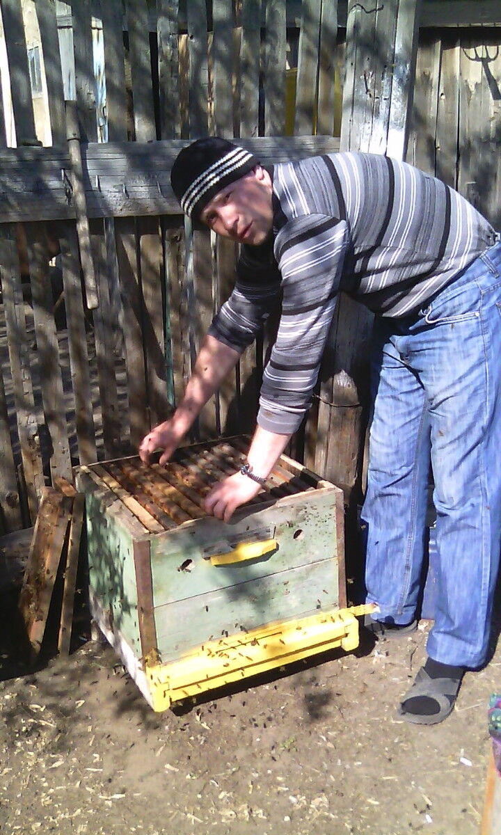 ���������� ��������, ���� ������� �������, 35 ���, ������������ ��� ������, ����� � ���������, c�������� ���������