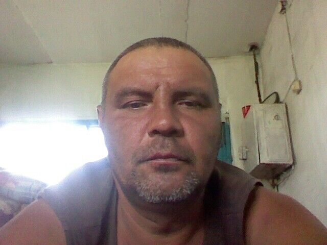  20311589  , 49 ,    