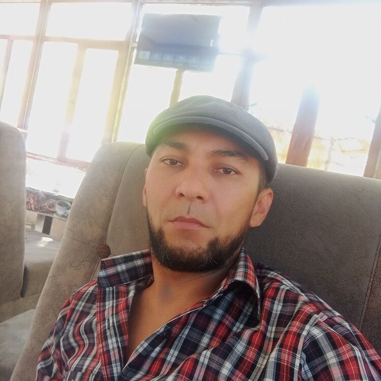  38629399  , 42 ,    
