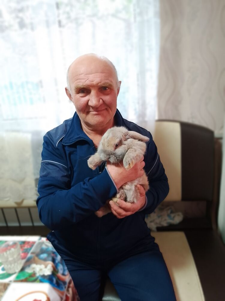 ���� 55622349 ������� ������, 60 ���, ���� ���������� � ���������