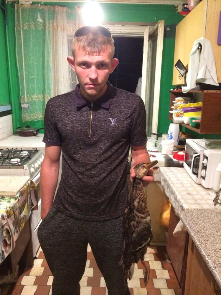 ���� 33987389 ������� ���������, 33 ����, ���� ���������� � ������