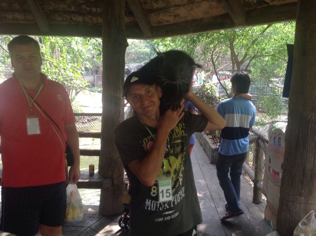 ���������� ������-��-����, ���� ������� ������, 48 ���, ������������ ��� ����� � ���������, c�������� ���������